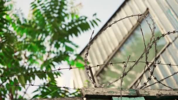 有刺鉄線付きの高い刑務所のフェンス 旧刑務所の監視塔 刑務所 — ストック動画