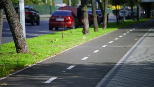 Велосипедная Дорожка Центре Большого Города Велосипедная Дорожка Пешеходный Тротуар Байк — стоковое видео