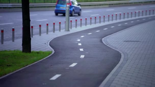 Bicycle Lane Roadway Freeway Cycle Lane Path Bike Lane Bike — Video Stock