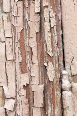 Vintage kırmızı bir parça odun dokusuna