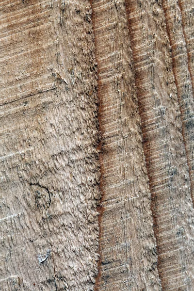 Makro kawałek drewna tekstura — Zdjęcie stockowe