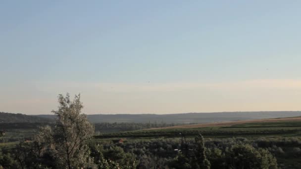 Beau paysage en mouvement Full HD 