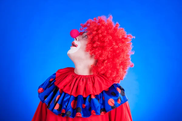 Clown op blauwe achtergrondkleur — Stockfoto