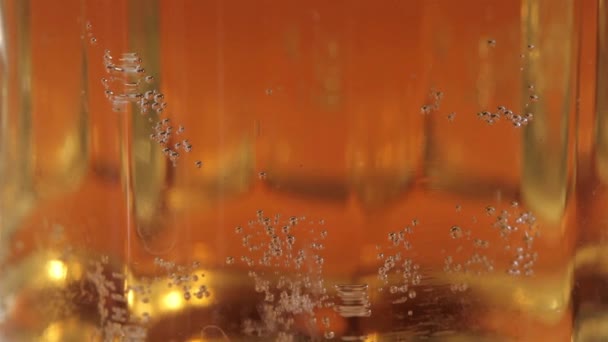 Pouring beer in glass on black background — Stock Video