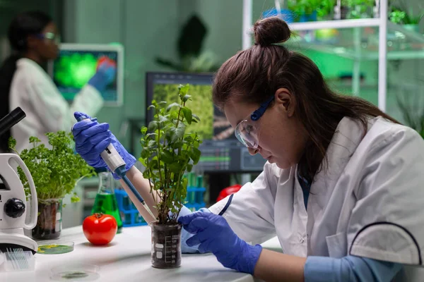 Biyokimyacı araştırmacı doktor organik yeşil fidana sıvı bırakıyor.