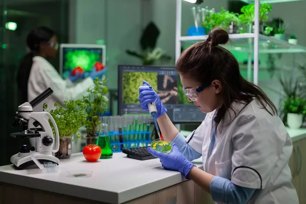 Mujer microbióloga poniendo líquido en placa petri translúcida usando micropippete — Foto de Stock