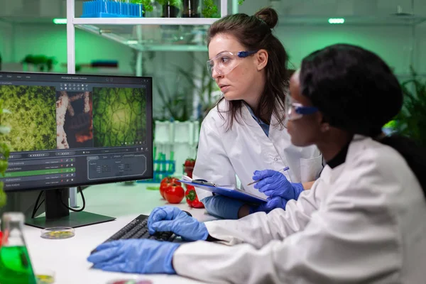 Grupo multiétnico de biólogos que analizan experimentos basados en plantas en computadoras —  Fotos de Stock