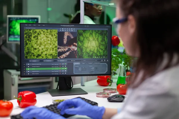 Chemist doctor analyzing genetically modified plants on computer — Stock Photo, Image