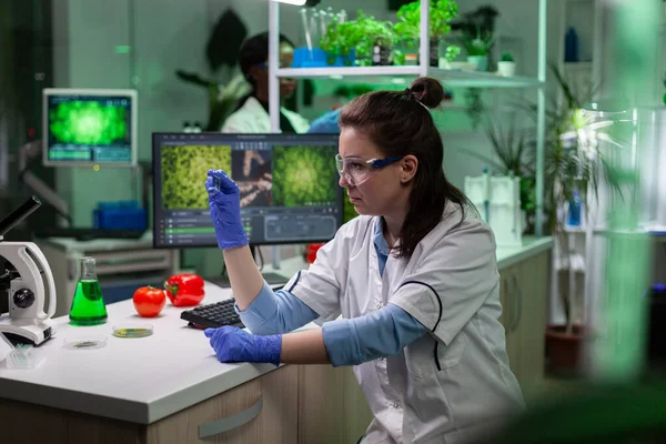 Botanist researcher doctor analyzing glass with leaf sample — Stock Photo, Image