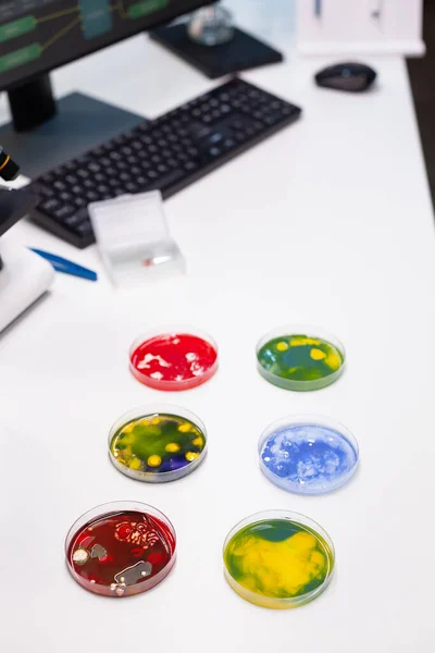 Κοντινό πλάνο του τρυβλίου Petri με βακτήρια και ιούς στο γραφείο — Φωτογραφία Αρχείου