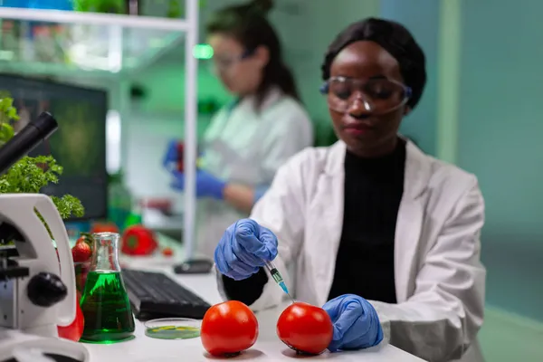 Biólogo afroamericano inyectando tomate con pesticidas químicos usando jeringa médica — Foto de Stock
