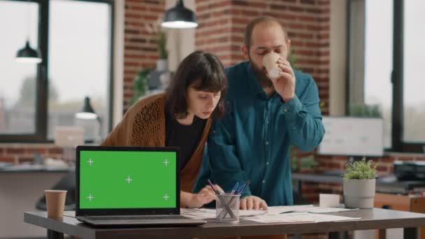 Collega 's werken en hebben laptop met groen scherm — Stockvideo