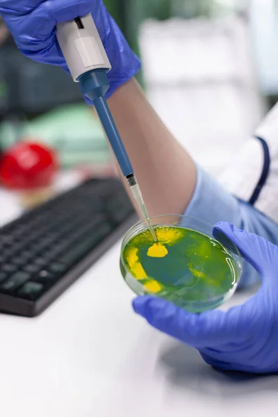 Closeup do cientista químico deixando cair líquido em placa de Petri com colônia de fungos — Fotografia de Stock