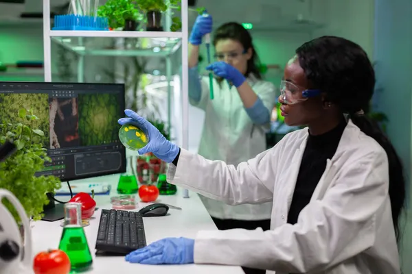 Investigador microbiólogo afroamericano sosteniendo placa petri con bacterias líquidas —  Fotos de Stock