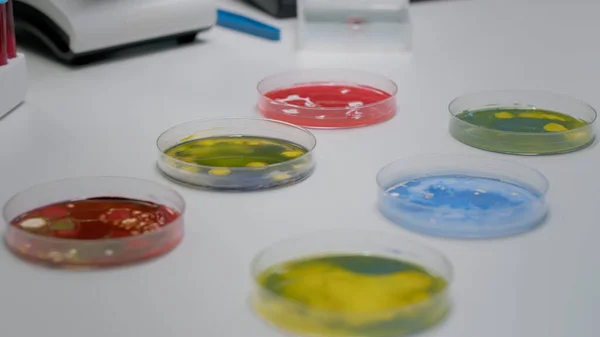 Close-up van laboratorium petrischaaltje met biologische vloeistof — Stockfoto