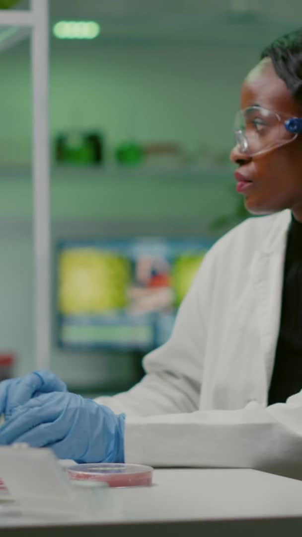 Dikey video: Afrikalı kimyager laboratuvar yetiştirilmiş vegan et örneğine bakıyor — Stok video