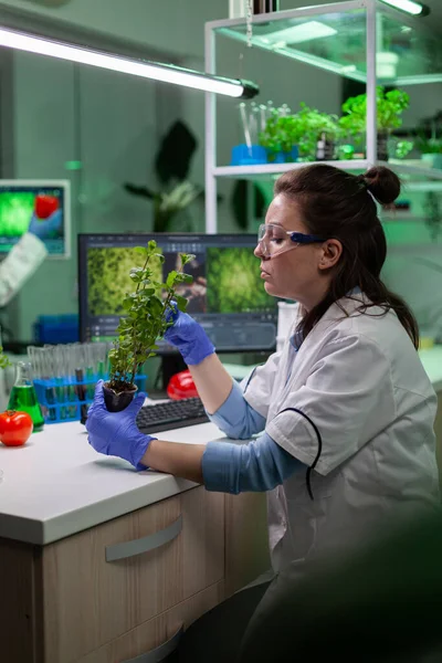 Investigador químico analizando plantaciones orgánicas trabajando en experimentos científicos —  Fotos de Stock