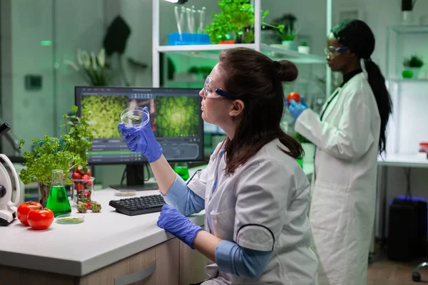 Kemist forskare kvinna läkare håller petriskål med gröna blad prov — Stockfoto