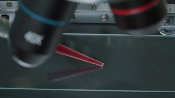 Micro σιφώνιο βάζοντας δείγμα αίματος στο μικροσκόπιο για να ελέγξετε το DNA — Αρχείο Βίντεο