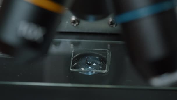 Microscópio com lupa e lente óptica usadas para pesquisa de moléculas — Vídeo de Stock