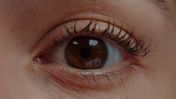 Extrem närbild av det mänskliga ögat framför kameran — Stockvideo