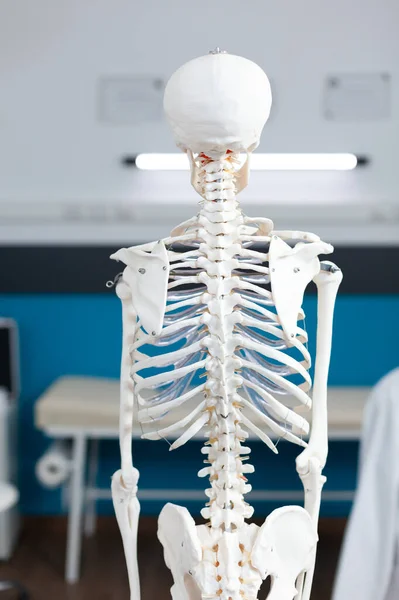 Menselijk lichaam skelet staat in leeg ziekenhuis kantoor met niemand in het — Stockfoto
