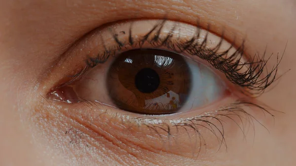 Femme avec les yeux bruns et les cils regardant la caméra — Photo