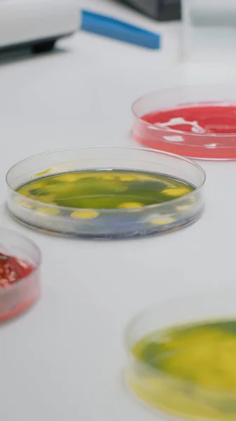 Close-up de placa de Petri laboratório com líquido biológico — Fotografia de Stock