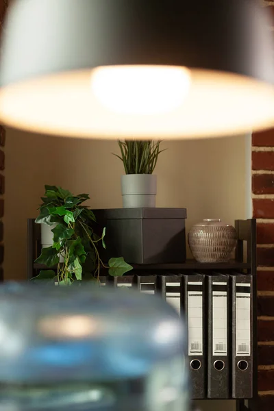 Close up of office space decoration and furniture with plants, accessories and books on bookshelf — Stockfoto