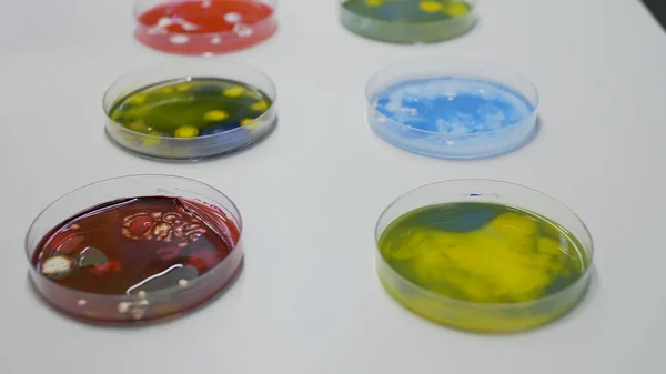 Primer plano de la placa de Petri química en el escritorio en el laboratorio de ciencias — Foto de Stock