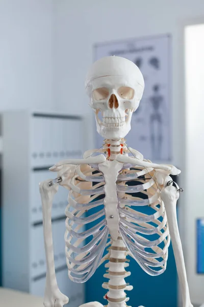 Portrait du squelette du corps humain debout dans le bureau vide des médecins de l'hôpital — Photo