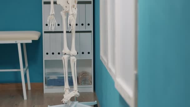 Esqueleto humano con huesos y médula espinal en consulta de osteopatía — Vídeos de Stock
