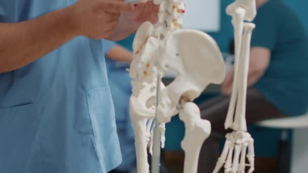 Мужской остеопат объясняет кости на скелете человека — стоковое видео