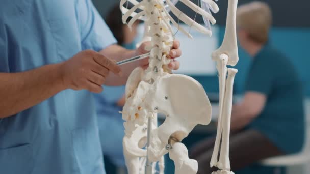 Physiothérapeute pointant les os dorsaux sur le squelette humain — Video
