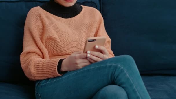 スマートフォンを使ってインターネットを閲覧し、オンラインレッスンを学ぶ女性 — ストック動画