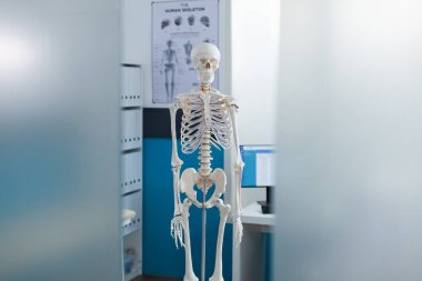 Tıbbi anatomik insan iskeletiyle donatılmış boş bir doktor ofisi.