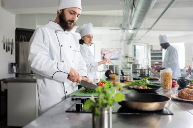 Lokanta mutfağında gastronomi şefi yemek servisinde sunulan gurme yemeği için sebze garnitürü hazırlıyor..