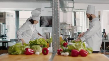Profesyonel gurme mutfağında çalışan kadın şefin orijinal portresi.