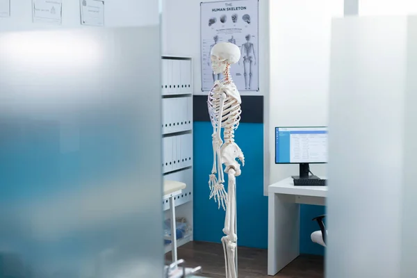 Boční pohled na model lidské kostry stojící v prázdné nemocniční kanceláři — Stock fotografie