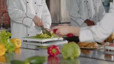 Erkek aşçının portresi gurme tarifi için yemek hazırlıyor.