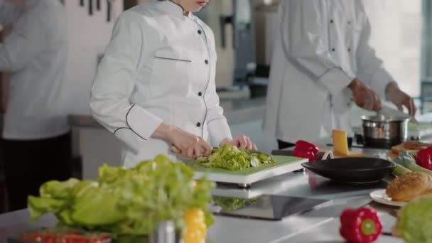 Портрет справжнього шеф-кухаря, який готує органічні інгредієнти на кухні — стокове відео