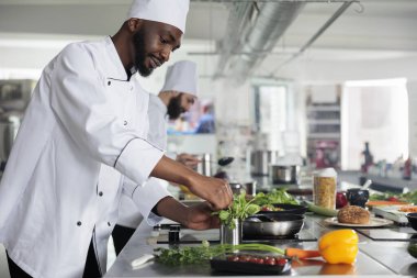 Afro-Amerikan profesyonel şef gurme lezzetini geliştirmek için taze yeşil otlar topluyor..