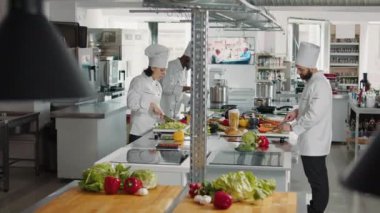 Professional people cooking gourmet cuisine meal in kitchen