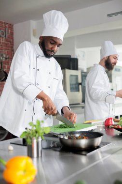 Yemek servisi için gurme pişirirken, profesyonel restoran mutfağında gastronomi uzmanı taze sebzeleri doğruyor. Şef sebze güveci için malzeme ve baharat hazırlıyor..