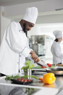 Yemek servisi için gurme pişirirken taze ve organik sebze doğrayan gıda endüstrisi çalışanı. Lokantanın baş aşçısı profesyonel mutfak lezzetli yemekler hazırlıyor..