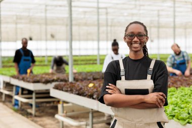Serada gülümseyen bir kadının portresi. Serada, organik ürün ve sebze yetiştiren işçilerle birlikte. Afrikalı Amerikalı çiftçi, fidelerle mutlu poz veriyor..