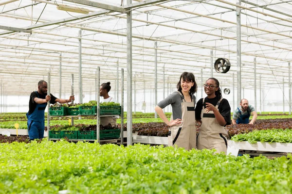 Разнообразные Женщины Гидропонной Среде Работающие Органической Пищевой Ферме Разговаривая Время — стоковое фото
