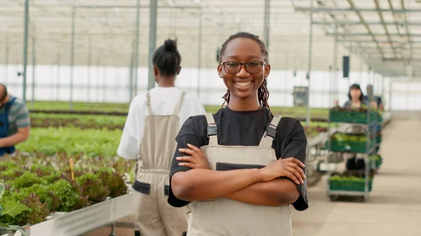 Portrait Smiling Woman Posing Arms Crossed Modern Greenhouse Rows Organic — 스톡 사진