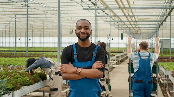 Portrait Smiling African American Man Modern Greenhouse Workers Pushing Crates — Stok fotoğraf