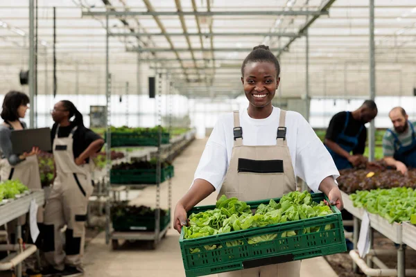 Portrait Smiling Woman Greenhouse Holding Crate Fresh Batch Hand Picked — Stock Photo, Image